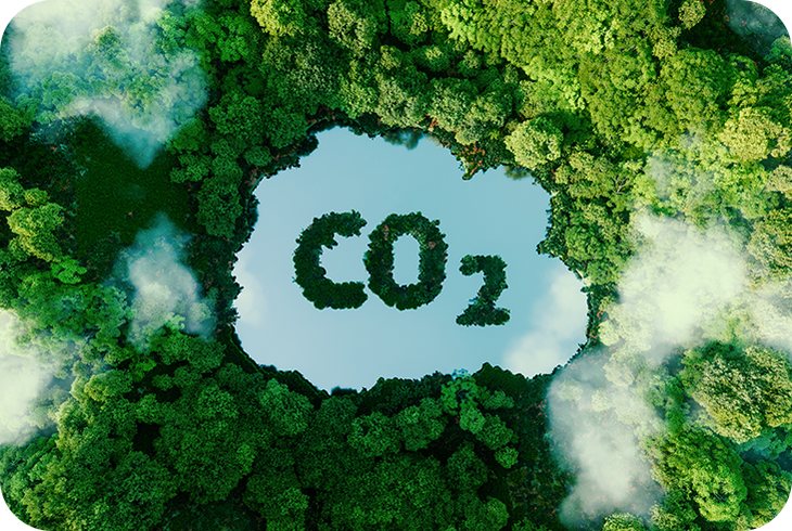 Product Carbon Footprint verification statement